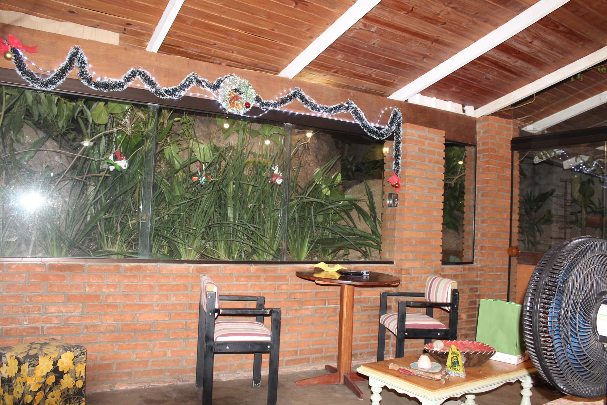 Galeria